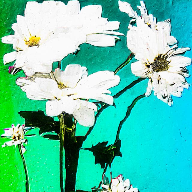 CYDR Flower 07