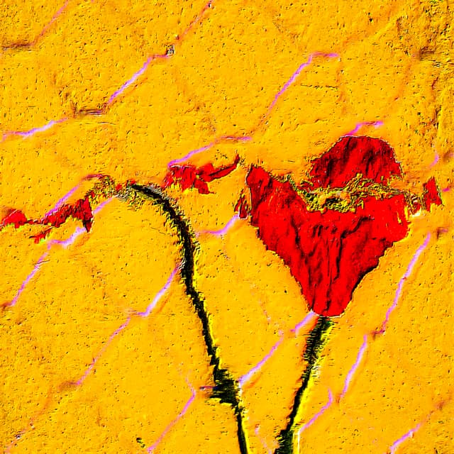 CYDR Flower 28