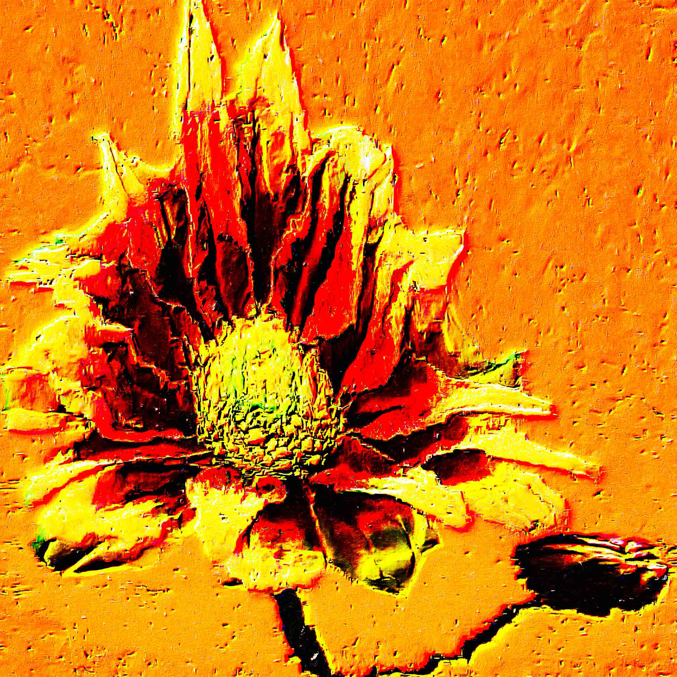 Flower 47 by CYDR