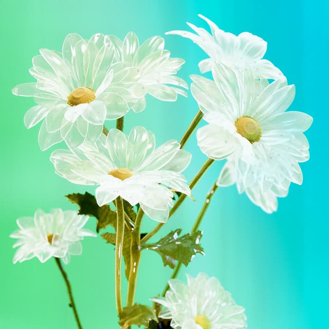 Liv Flower 07