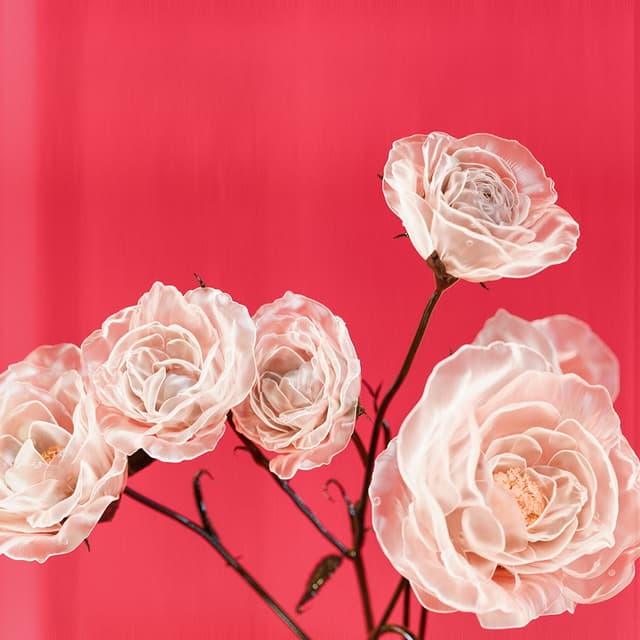 Liv Flower 18