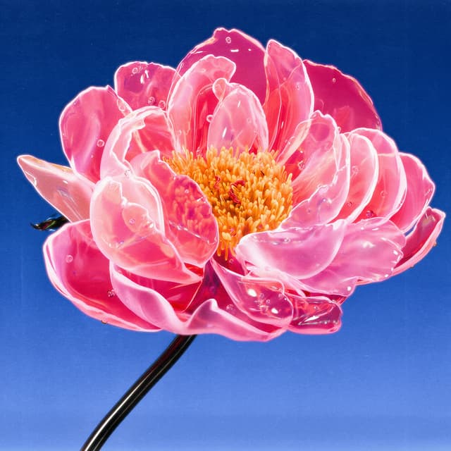 Liv Flower 19