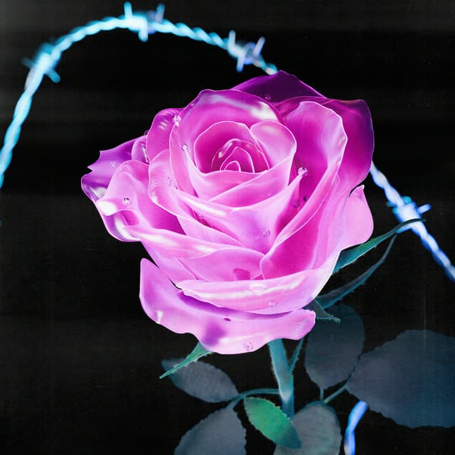 Liv Flower 26