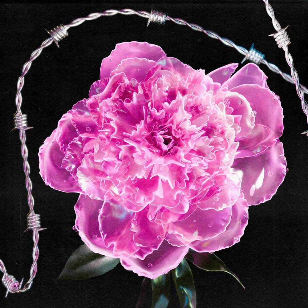 Flower 34 by Olivia Pedigo