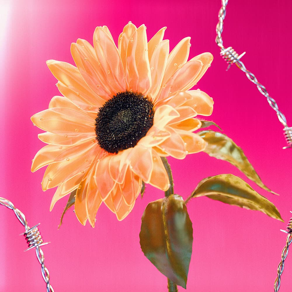 Flower 36 by Olivia Pedigo
