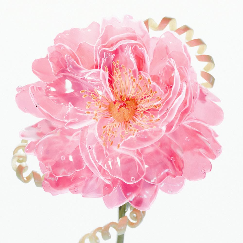 Flower 45 by Olivia Pedigo