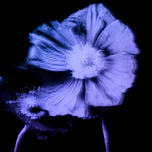 Flower 02 (animated)