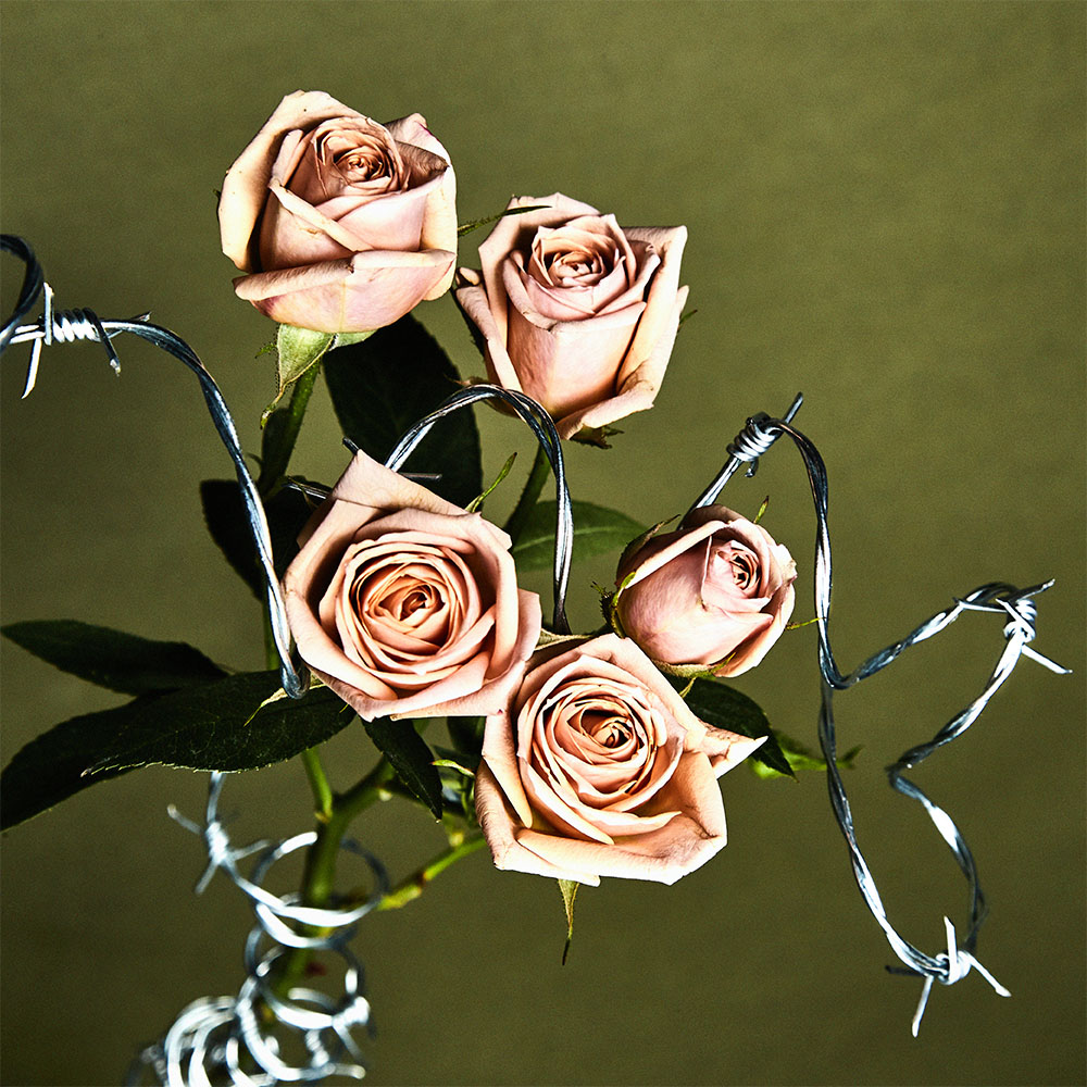 Jules' work - Flowers Project